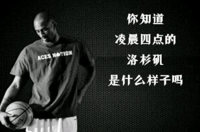 这一回合组